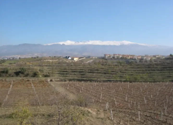 German Martin|Agencia Inmobiliario en Granada